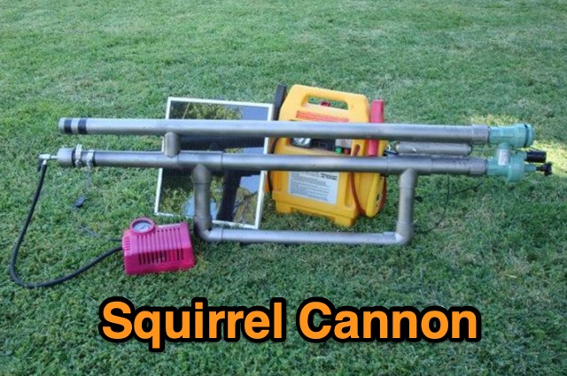 Snapshot of Squirrel Cannon AKA Spud Gun   showing the key part of the resource